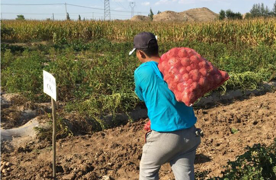 2017461216555065 2017461216555065