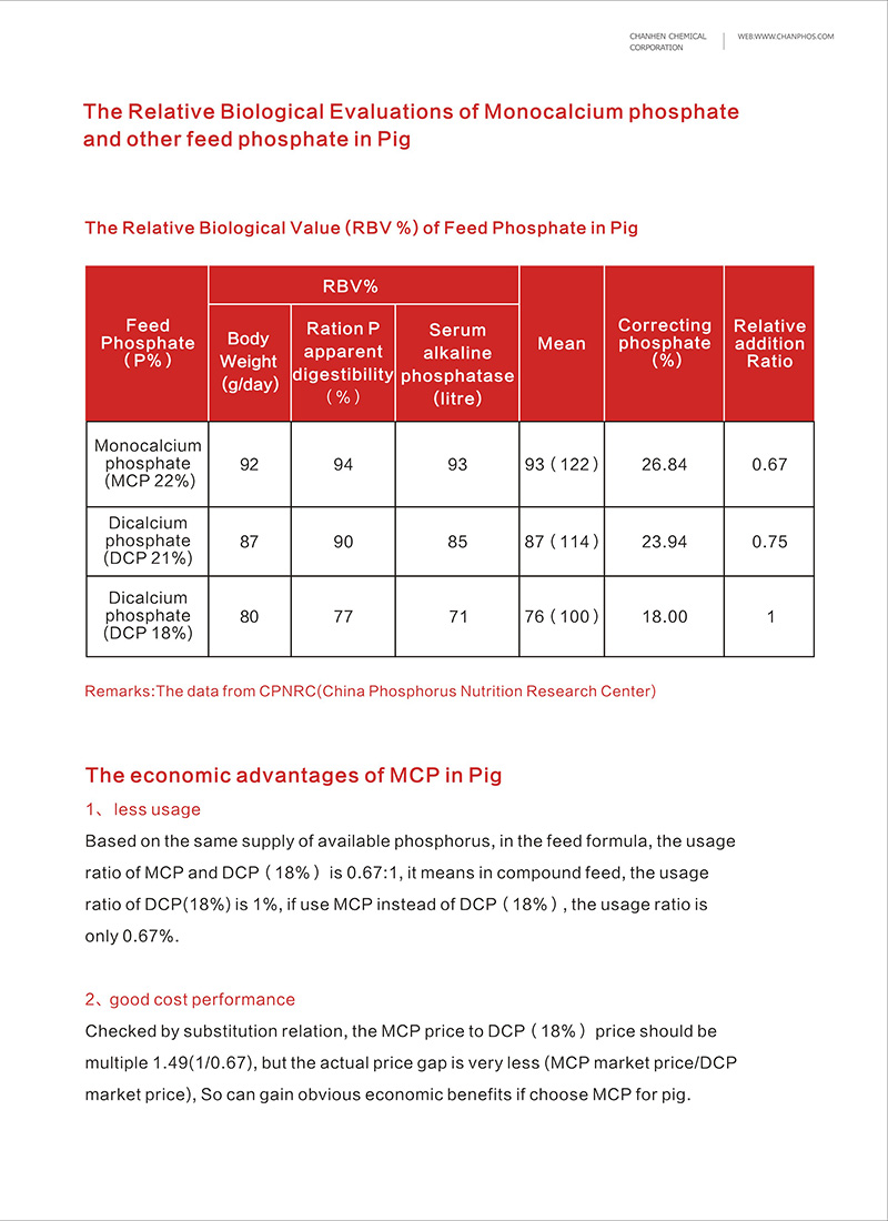 ����Ӣ����վ��2