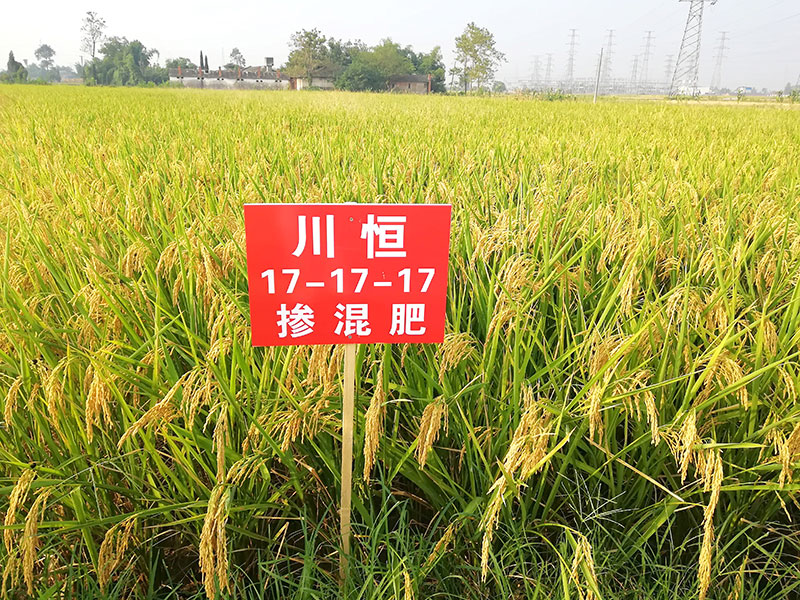 IMG_20180831_083205 IMG_20180831_083205